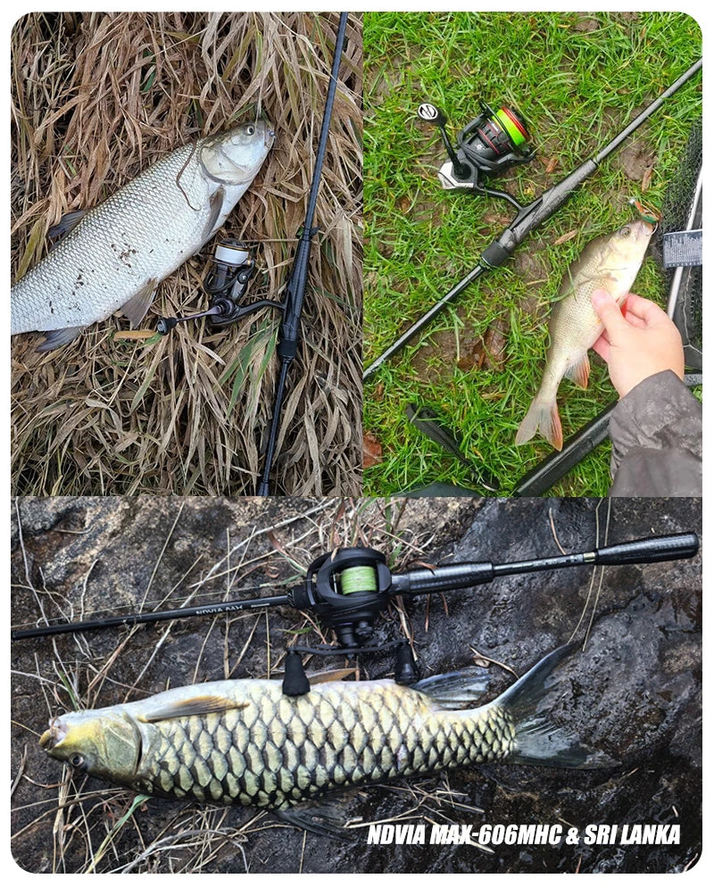 PURELURE NEW NDVIA MAX Ajing And Eging Tubular Tip 8FT 8.3FT 8.6FT 1.2-10G Soft Lure And EGI F/MF Action Perch Pike Zander Squid