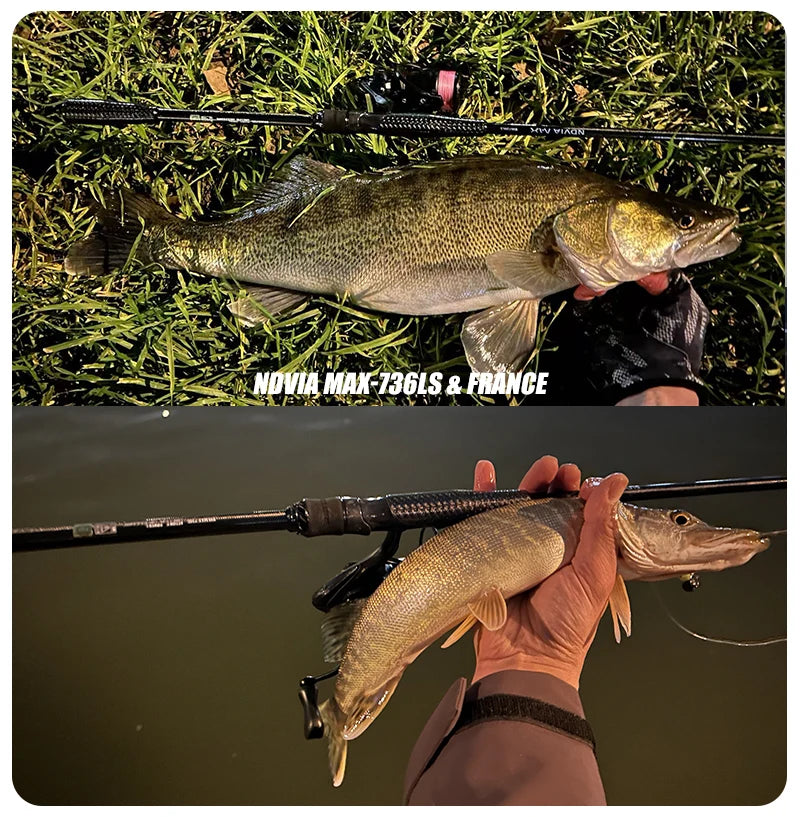 PURELURE NEW NDVIA MAX Ajing And Eging Tubular Tip 8FT 8.3FT 8.6FT 1.2-10G Soft Lure And EGI F/MF Action Perch Pike Zander Squid